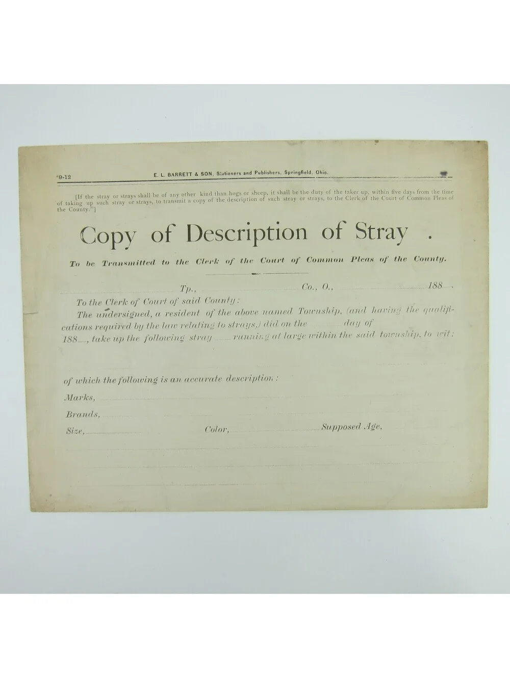 Antique 1880s Ohio Copy of Description of Stray Police Record Form Blank RARE